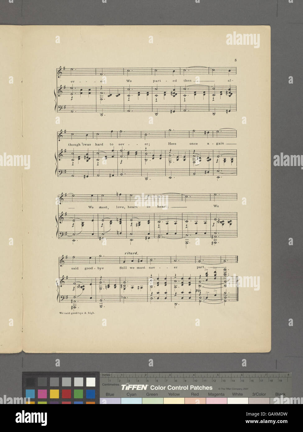 Un'espressione sentimentale che riflette su un addio, evidenziando temi di perdita, separazione e il peso emotivo della separazione con una persona cara o una figura importante. Foto Stock