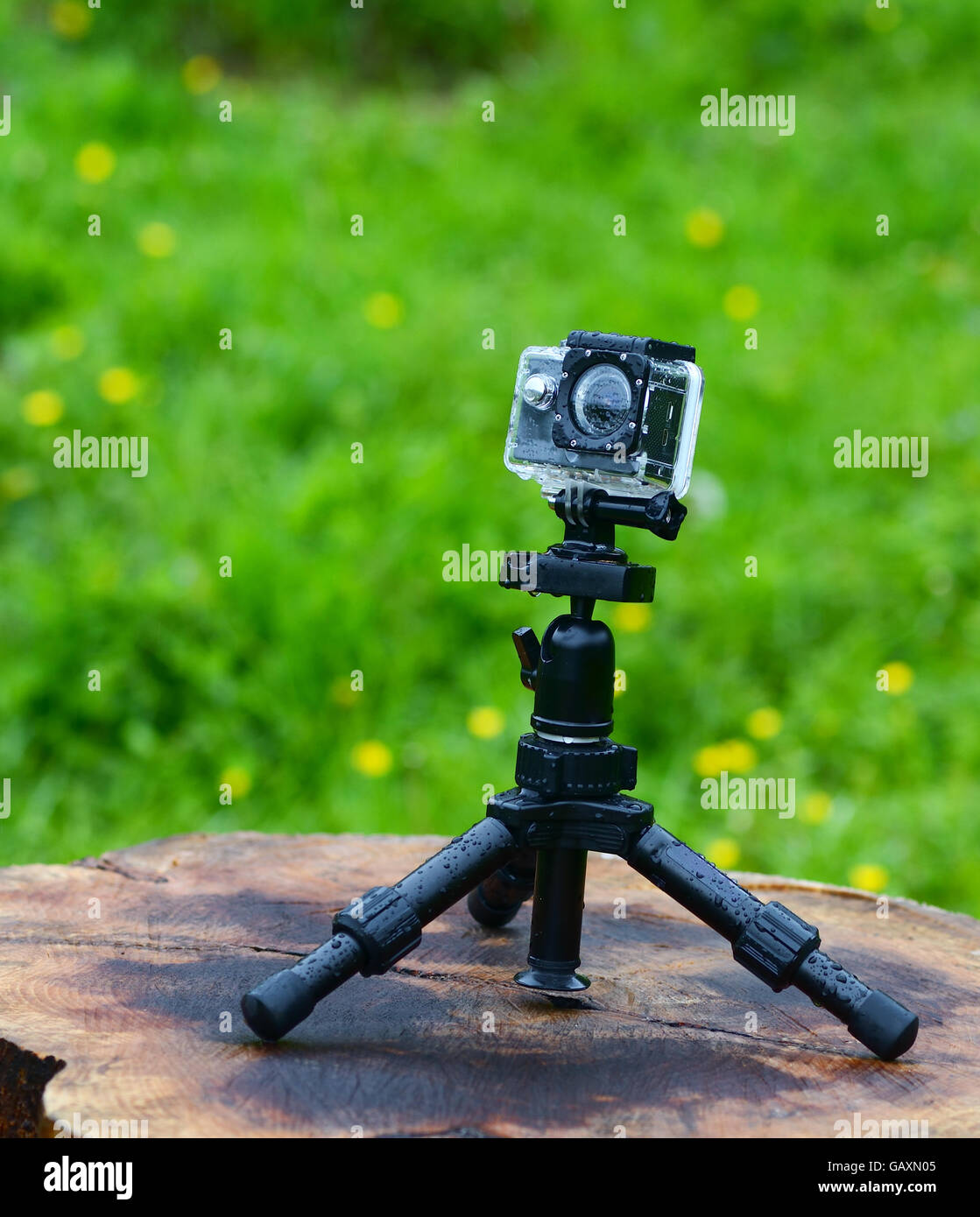 Azione fotocamera su treppiede in area di erba natura Foto Stock