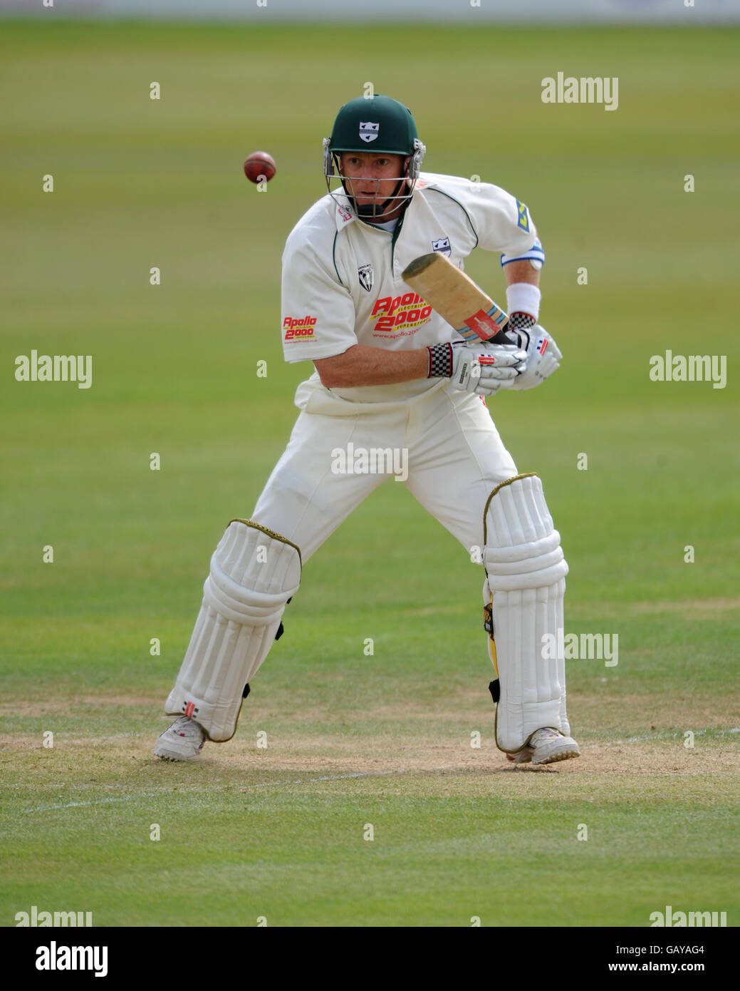 Cricket - Liverpool Victoria County Championship - Divisione 2 - Giorno 2 - Leicestershire v Worcestershire - Grace Road Foto Stock