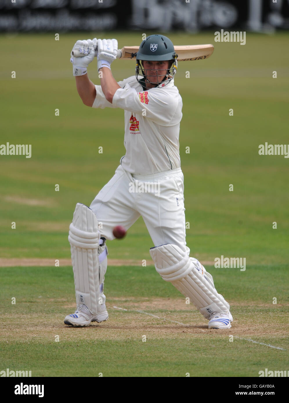 Cricket - Liverpool Victoria County Championship - Divisione 2 - Giorno 2 - Leicestershire v Worcestershire - Grace Road Foto Stock