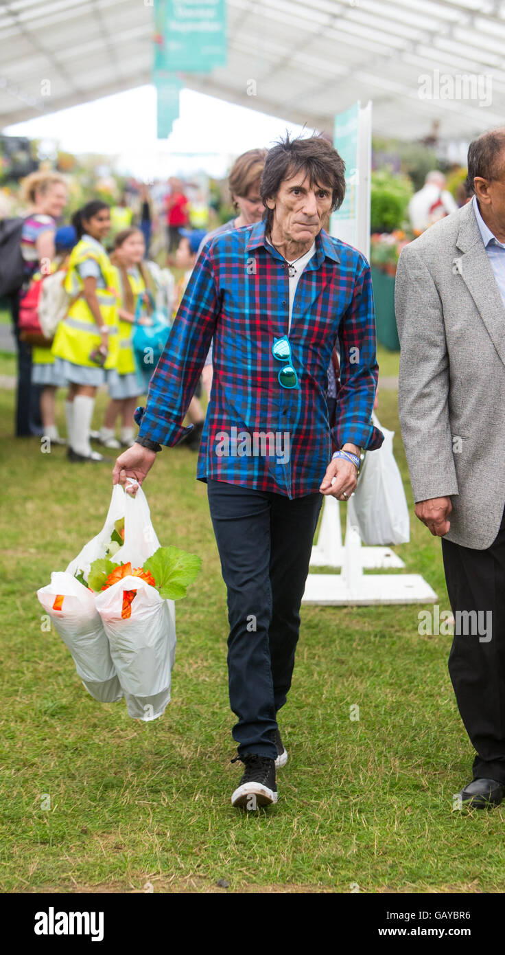 Rolling Stones chitarrista,Ronnie Wood della RHS Hampton Court flower show portando alcuni Delphiniums Foto Stock