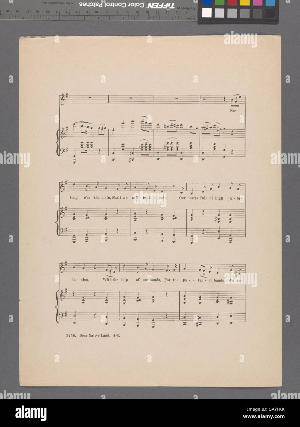 "Cara Terra nativa" è probabilmente un pezzo patriottico o emotivo che esprime un profondo legame con la propria patria, riflettendo temi di amore e patriottismo. Foto Stock