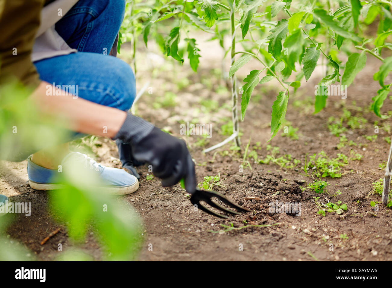 Allentamento del terreno Foto Stock