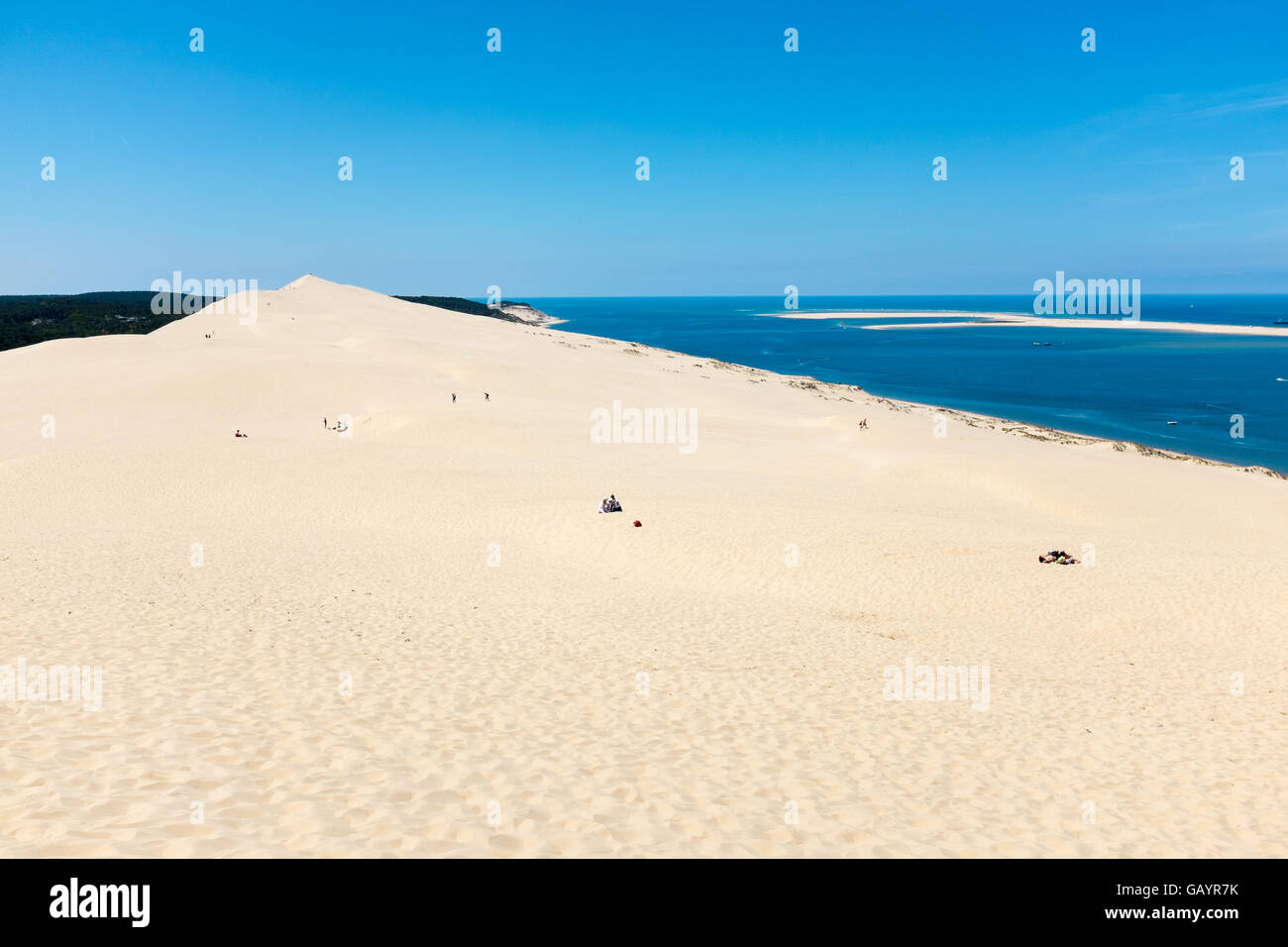 Il più grande d'Europa dune di sabbia a dune du Pilat vicino a Arcachon nel sud-ovest della Francia Foto Stock