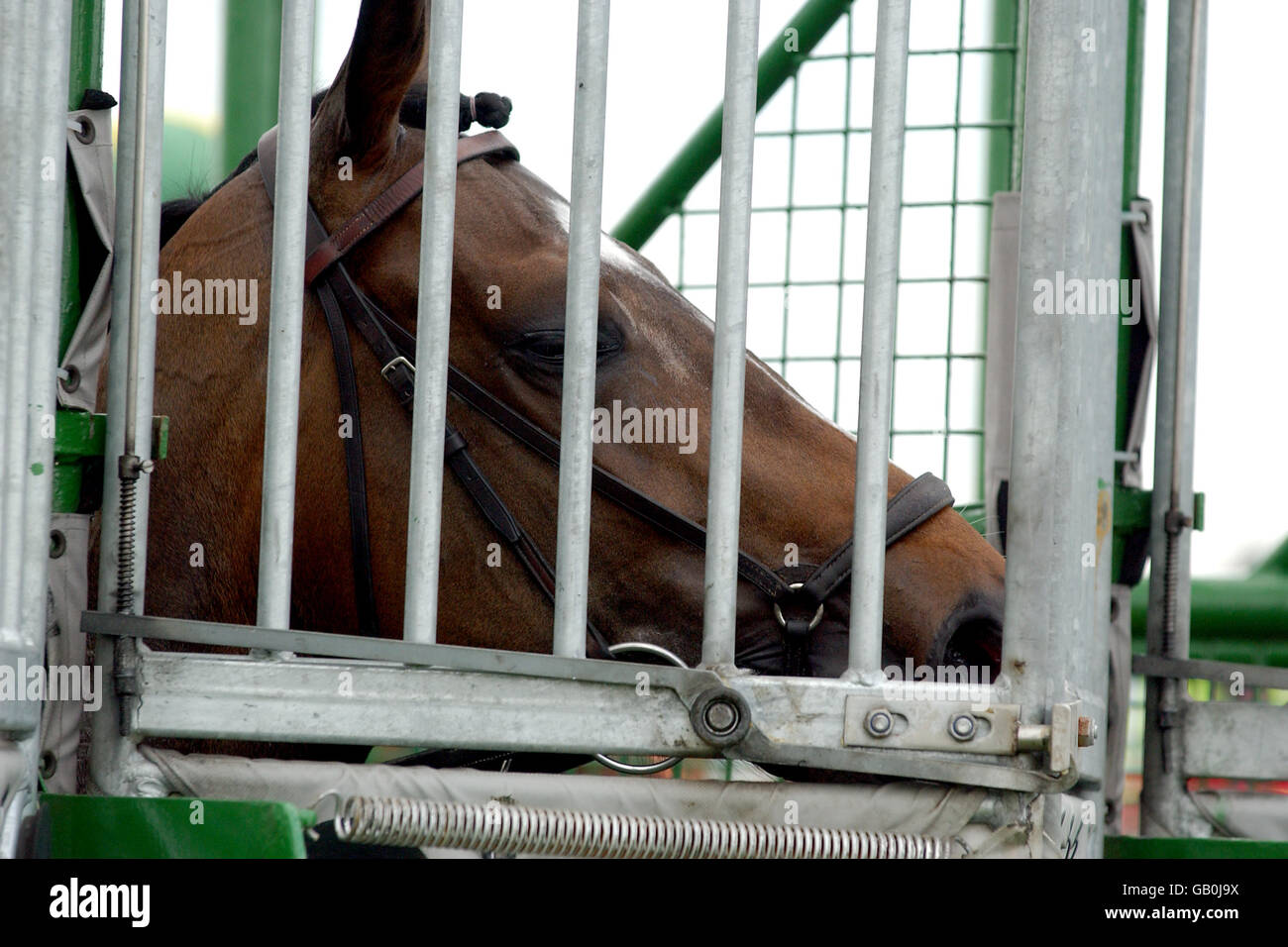 Corse ippiche - Epsom - Vodafone Derby Meeting. Un cavallo attende nelle bancarelle sotto gli ordini degli antipasti Foto Stock