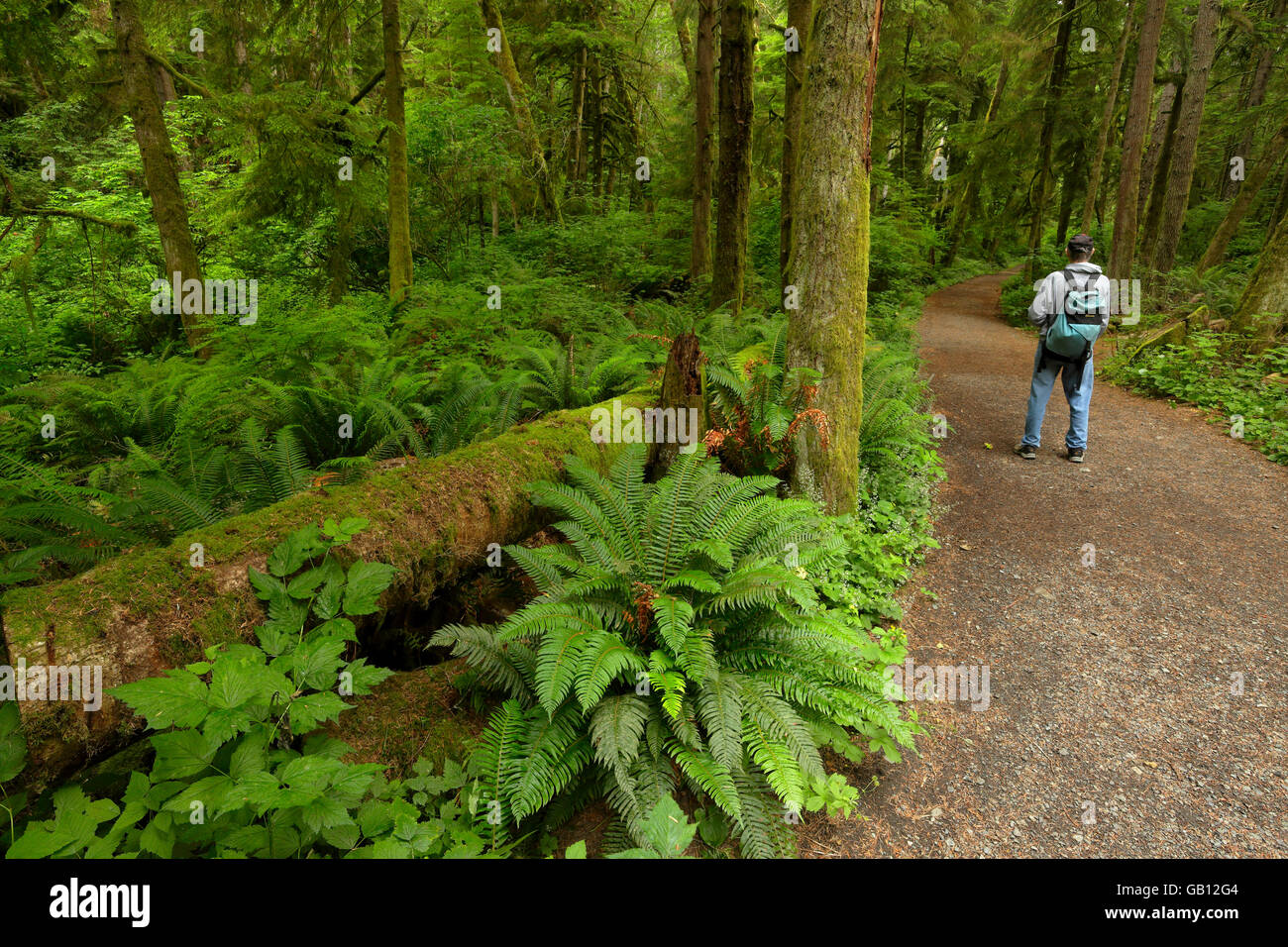 Escursionista sulla miniera di ferro Bay trail in East Sooke parco regionale-Sooke, British Columbia, Canada. Foto Stock