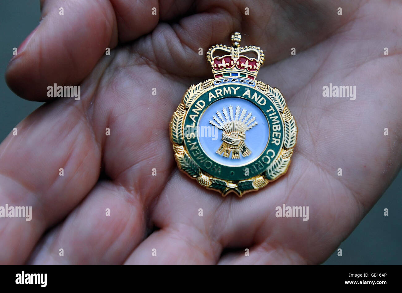 Il distintivo d'onore, presentato in una cerimonia al 10 di Downing Street, a Londra, a circa cinquanta membri sopravvissuti dell'Esercito di Terra delle Donne (WLA) e del corpo del legno delle Donne (WTC) dal Segretario dell'ambiente Hilary Benn. Foto Stock