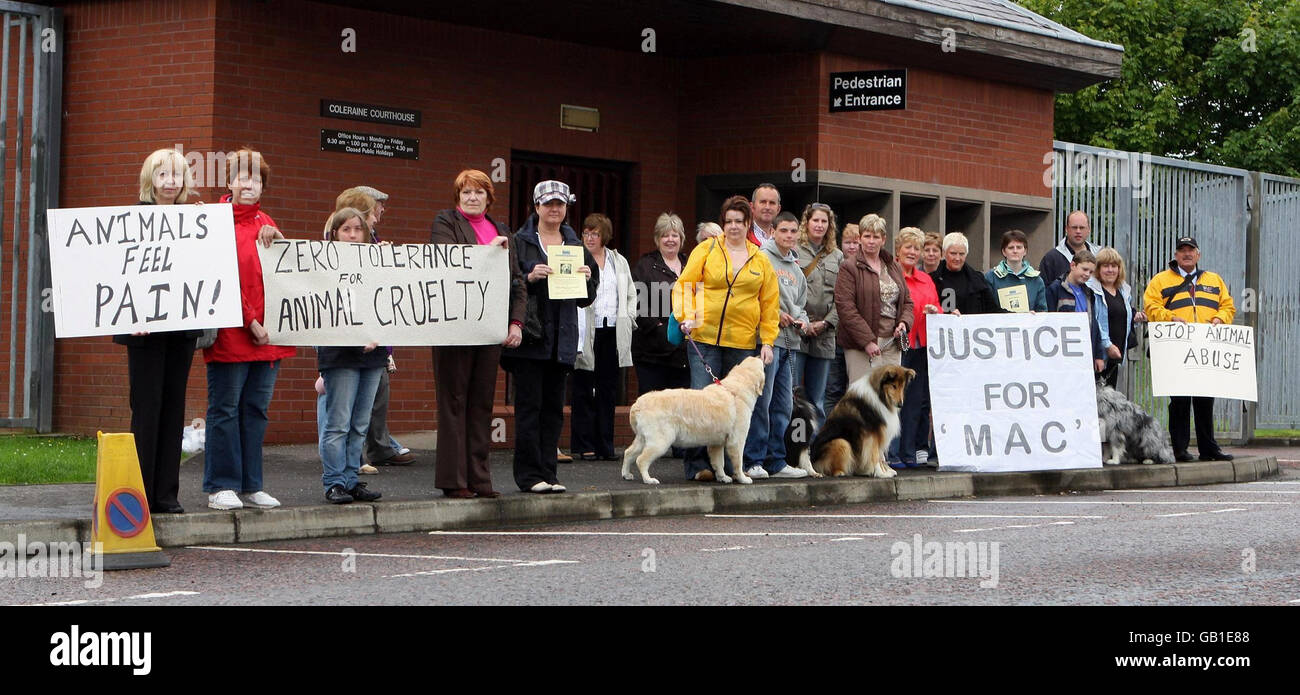 I membri del pubblico e i volontari del Rainbow Animal Sanctuary, che trovano nuove case per cani e gatti indesiderati, si riuniscono fuori dal tribunale di Coleraine, dove William David Streeter, 29 anni, è stato condannato oggi. Foto Stock