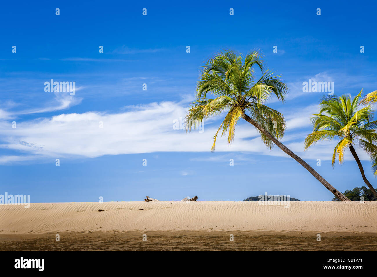 Le palme e la spiaggia di sabbia sulla spiaggia di Carrillo Foto Stock