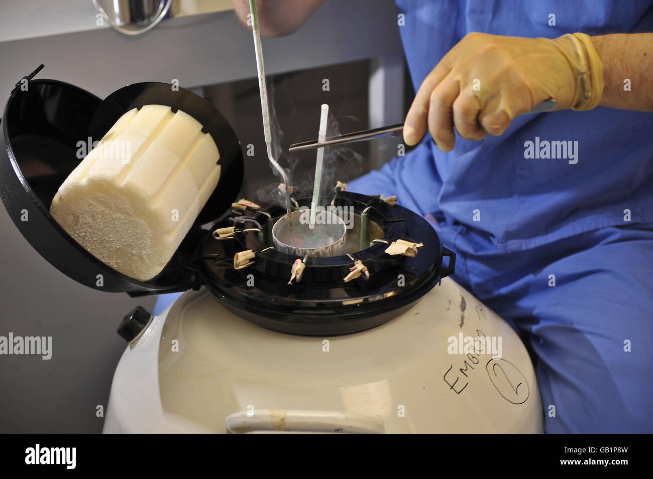 Lyndon Miles, responsabile di Embriologia e Andrologia per IVF Wales presso l'University Hospital of Wales di Cardiff, colloca un embrione congelato con il nuovo processo di vetrificazione in una camera di stoccaggio a lungo termine. Foto Stock
