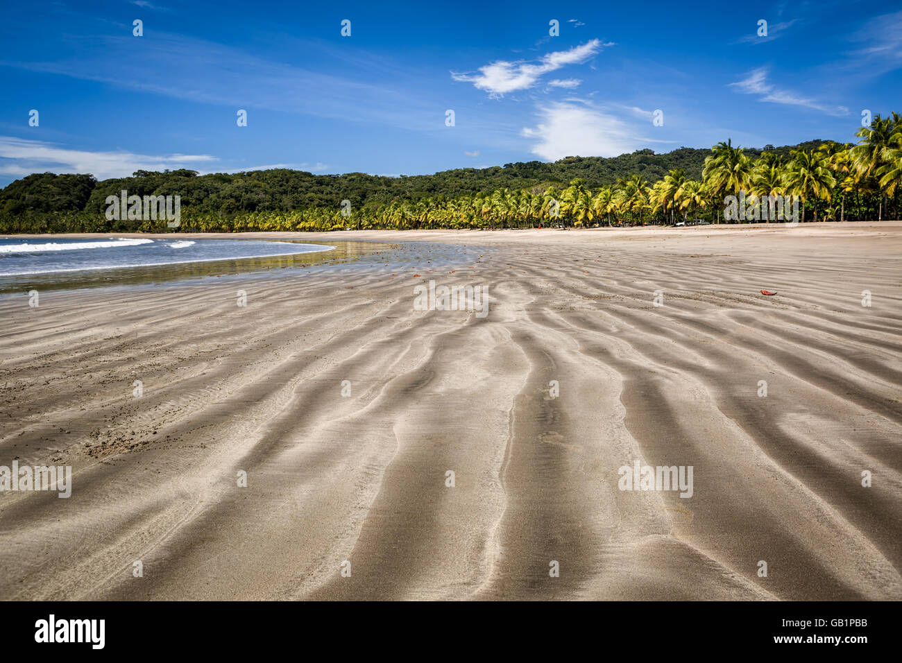 Lo splendido paesaggio di spiaggia di sabbia e palme sulla spiaggia Carrillo, Costa Rica, Guanacaste. Foto Stock