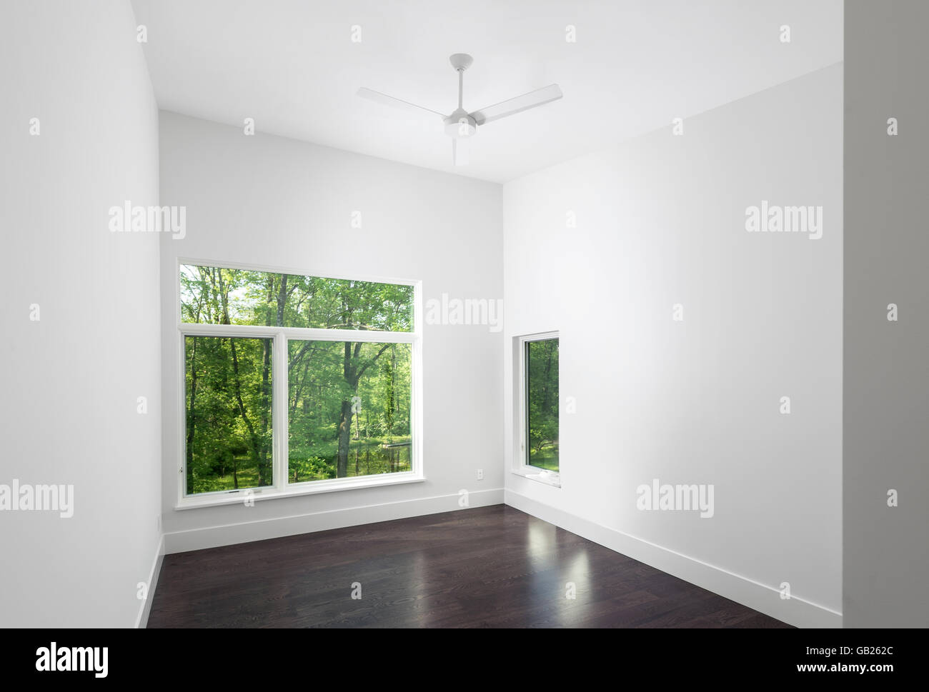 Camera Bianca con alberi fuori dalla finestra Foto Stock