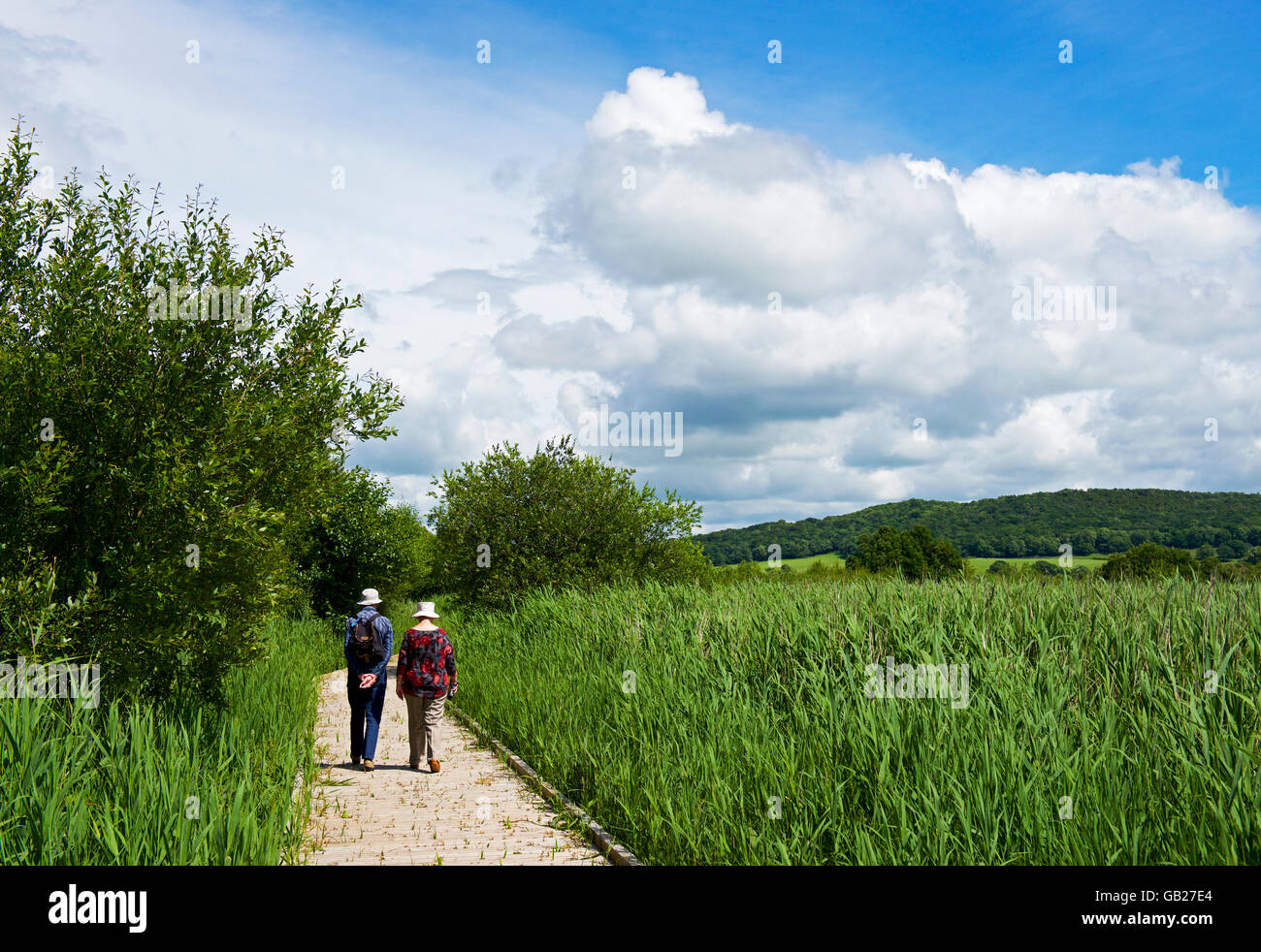 Gli amanti del birdwatching a Leighton Moss, un RSPB riserva naturale vicino a Carnforth, Lancashire, Inghilterra, Regno Unito Foto Stock