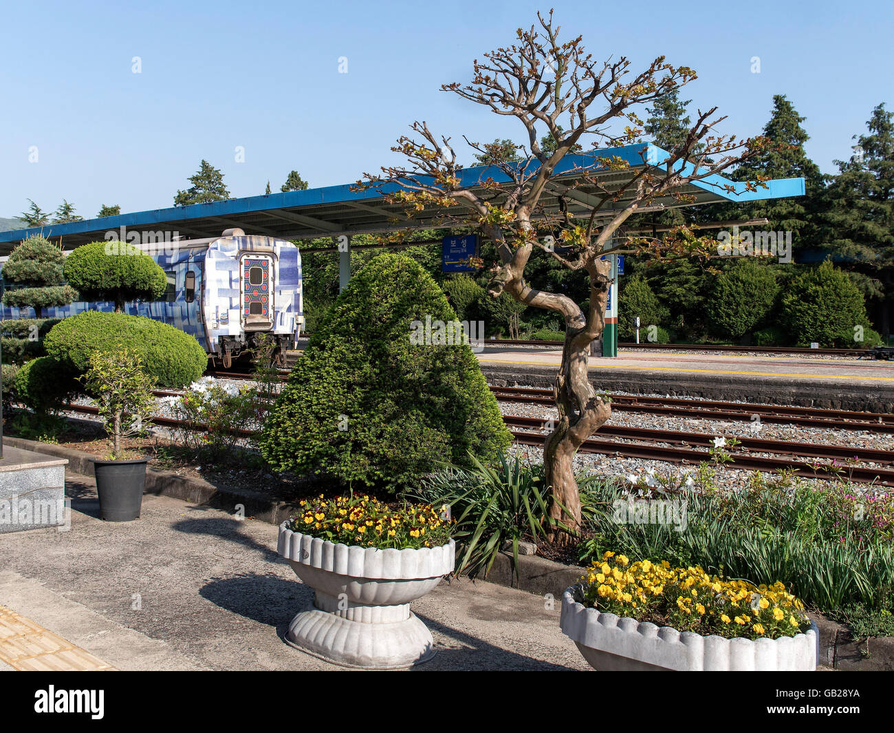 Giardino in corrispondenza della stazione di Boseong,, provincia Jeollanam-do, Corea del Sud, Asia Foto Stock
