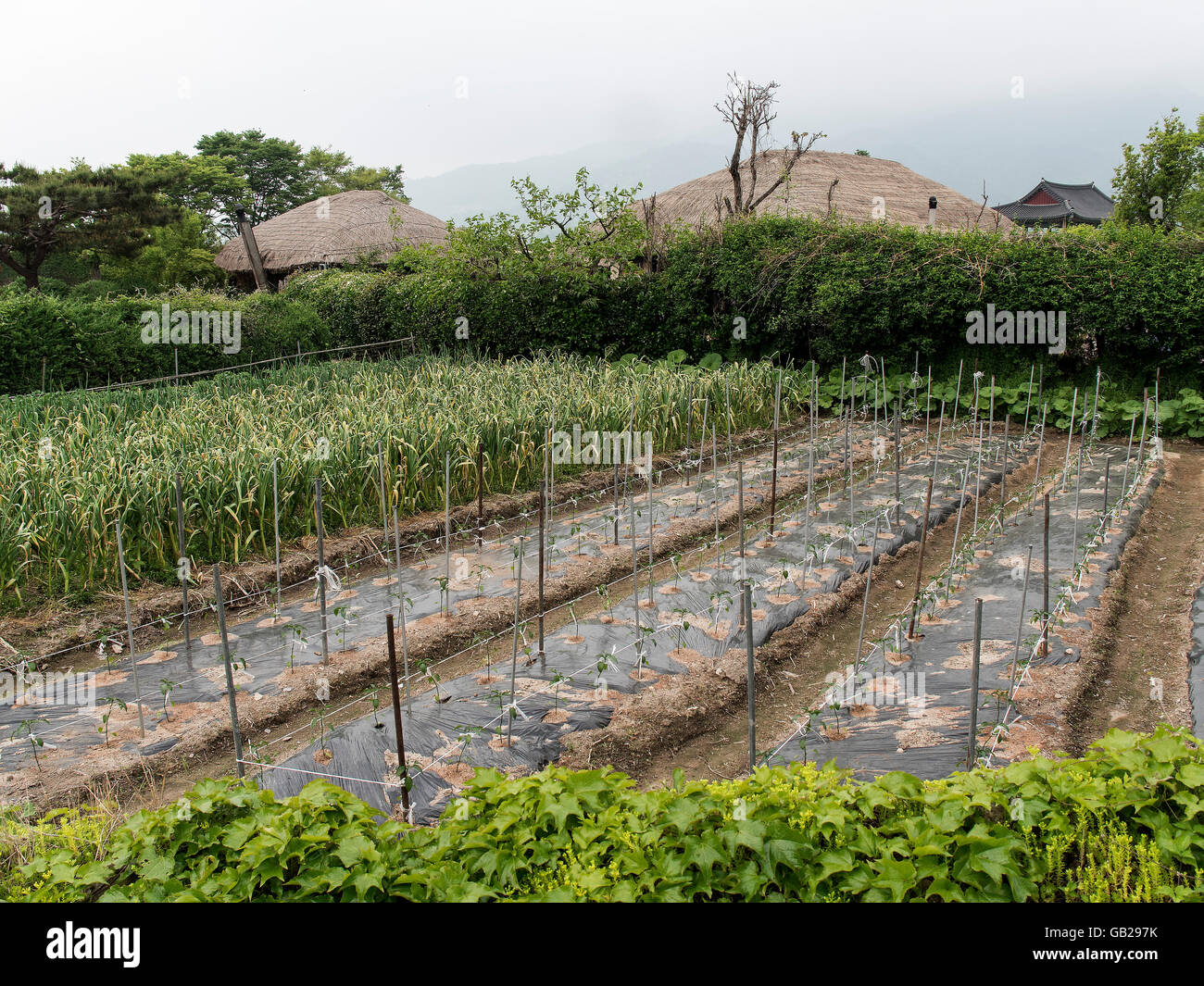 Agricoltura-Folk Village Naganneupsong-, un ex fortezza, provincia Jeollanam-do, Corea del Sud, Asia Foto Stock