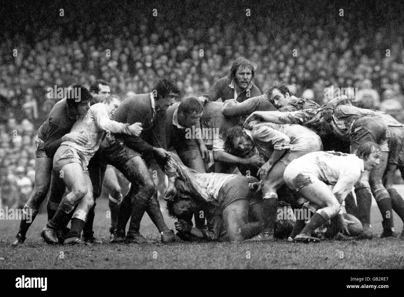 Malcolm Young (r) dell'Inghilterra libera la palla dalla mischia. Nella foto sono inoltre raffigurati (l-R) Allan Martin (Galles), Gareth Edwards (Galles), Peter Wheeler (Inghilterra), Jeff Squire (Galles), Derek Quinnell (Galles), Bill Beaumont (Inghilterra). Foto Stock