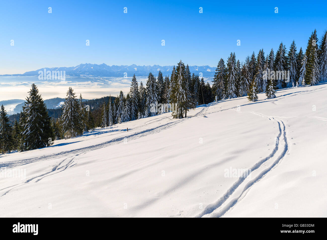 Pista di Sci in Gorce Mountains con il panorama dei monti Tatra in distanza, Polonia Foto Stock