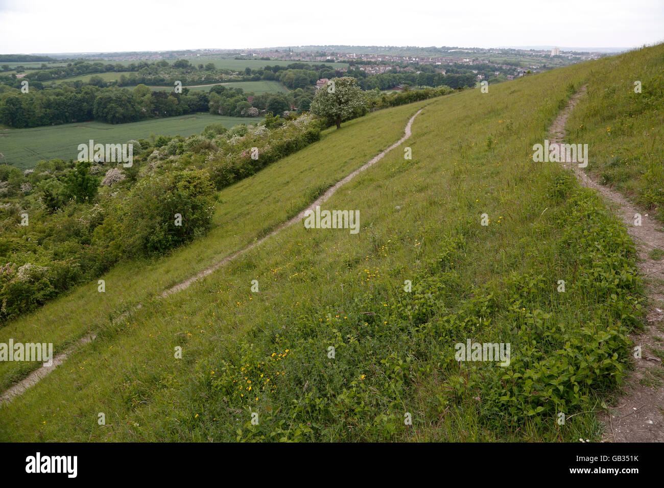 Vista delle banche Darland riserva naturale, Gillingham, Kent, England, Regno Unito Foto Stock