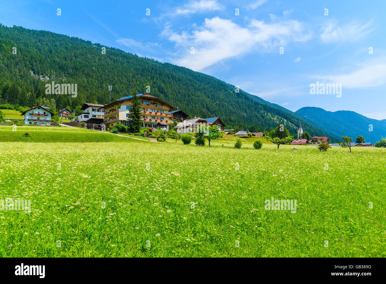 Verde prato con fiori con tradizionali case di campagna in background, lago Weissensee, Alpi, Austria Foto Stock