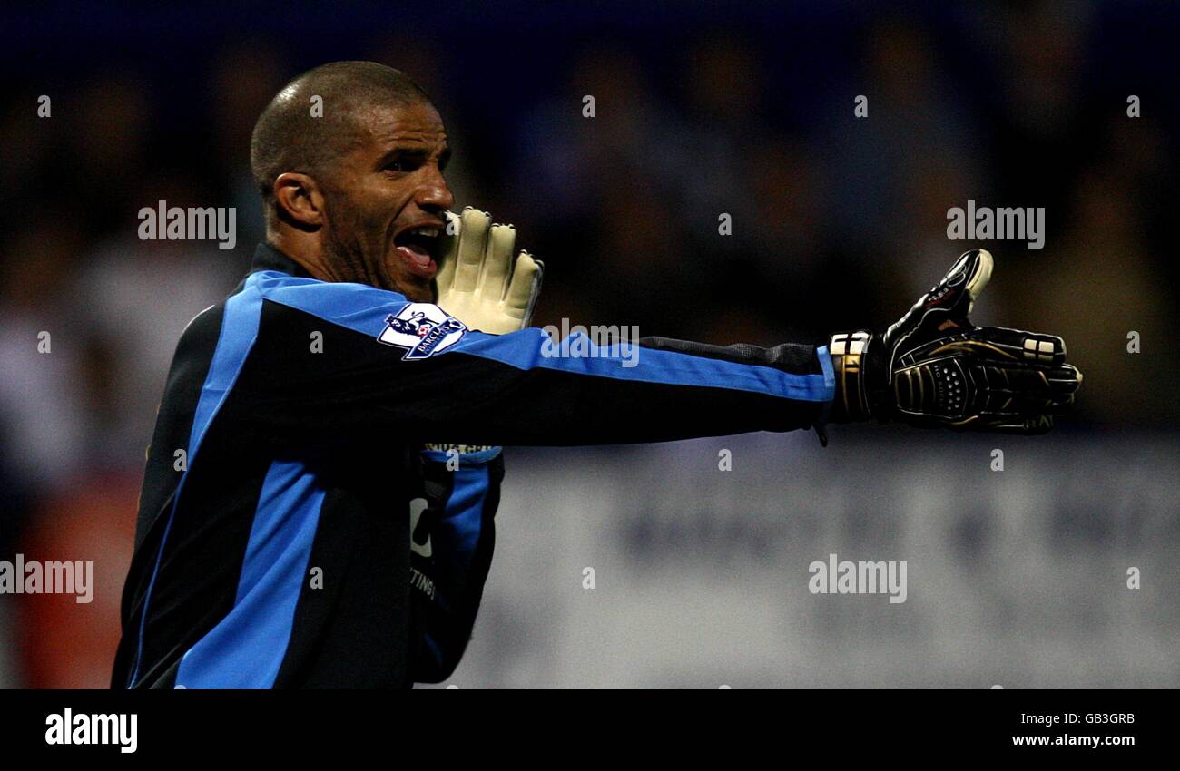 Calcio - Barclays Premier League - Portsmouth v Manchester United - Fratton Park. David James, Portsmouth Foto Stock