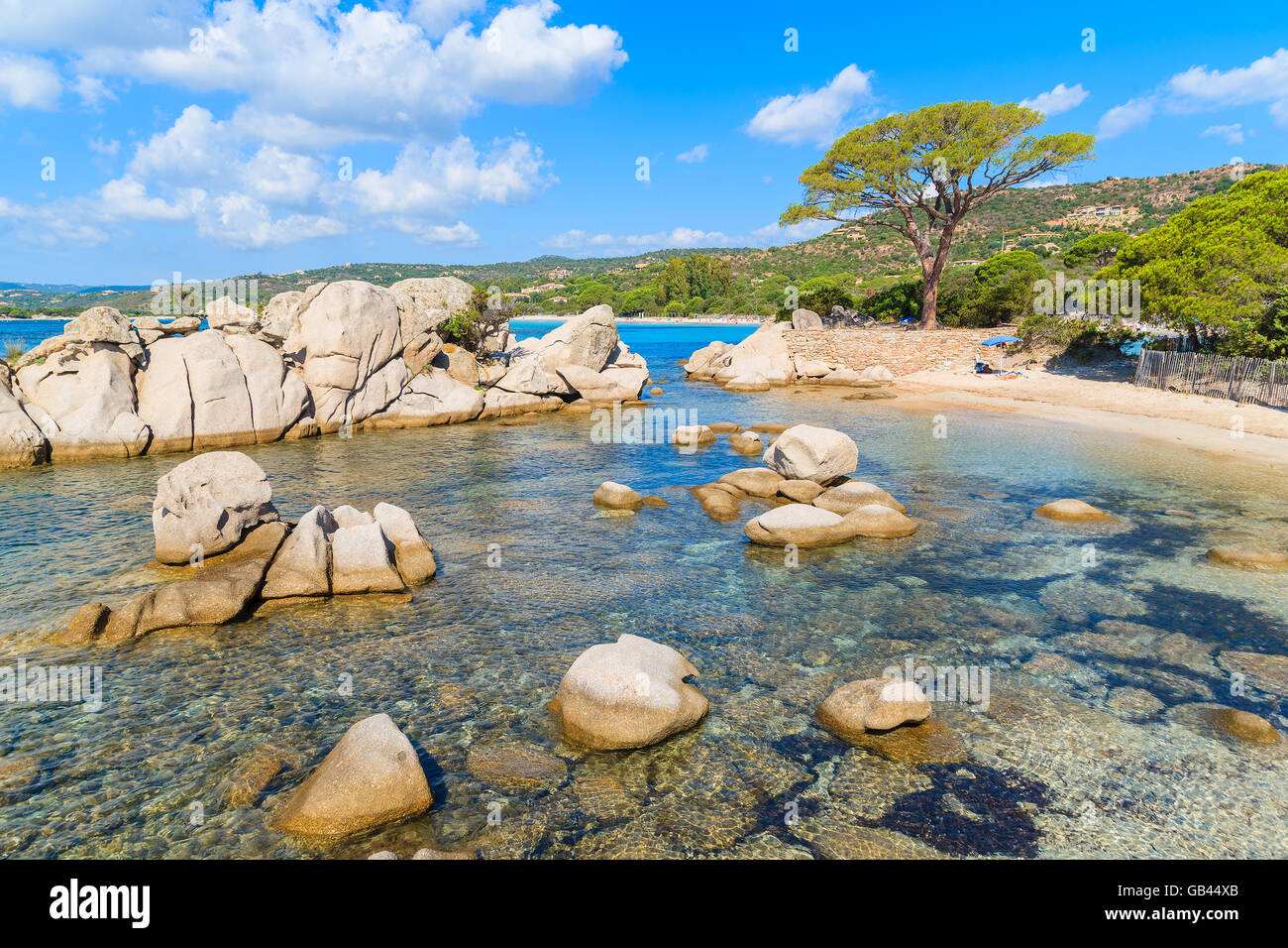 Famosa spiaggia di Palombaggia con verde pino, Corsica, Francia Foto Stock