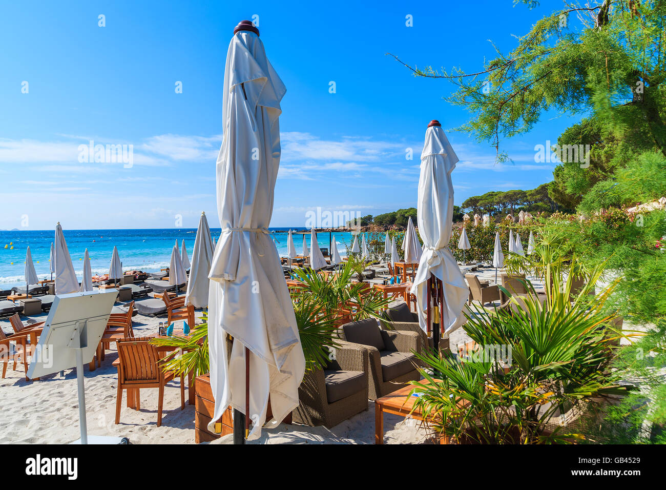 La spiaggia di Palombaggia, CORSICA - giu 24, 2015: Ombrelloni con lettini e cafe bar tabelle sulla spiaggia di Palombaggia, Corsica islan Foto Stock