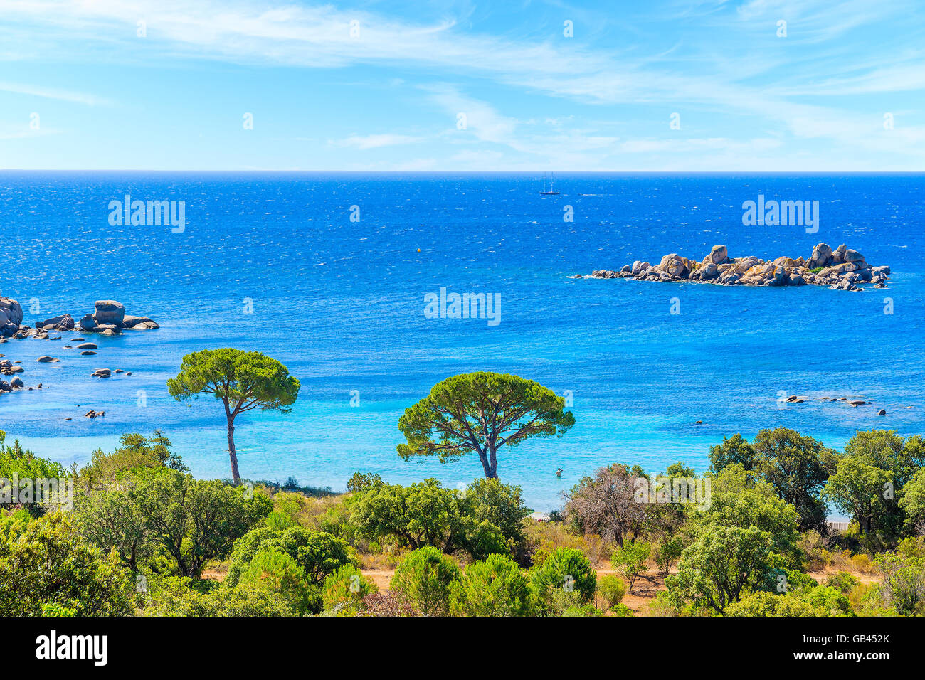 Vista della famosa spiaggia di Palombaggia con alberi di pino e mare azzurro, Corsica, Francia Foto Stock