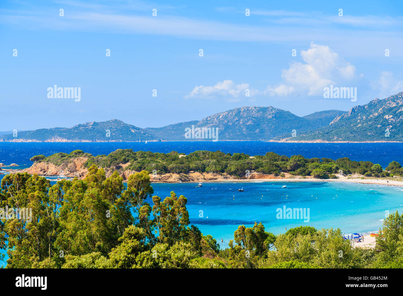 Vista della famosa spiaggia di Palombaggia con alberi di pino e mare azzurro, Corsica, Francia Foto Stock