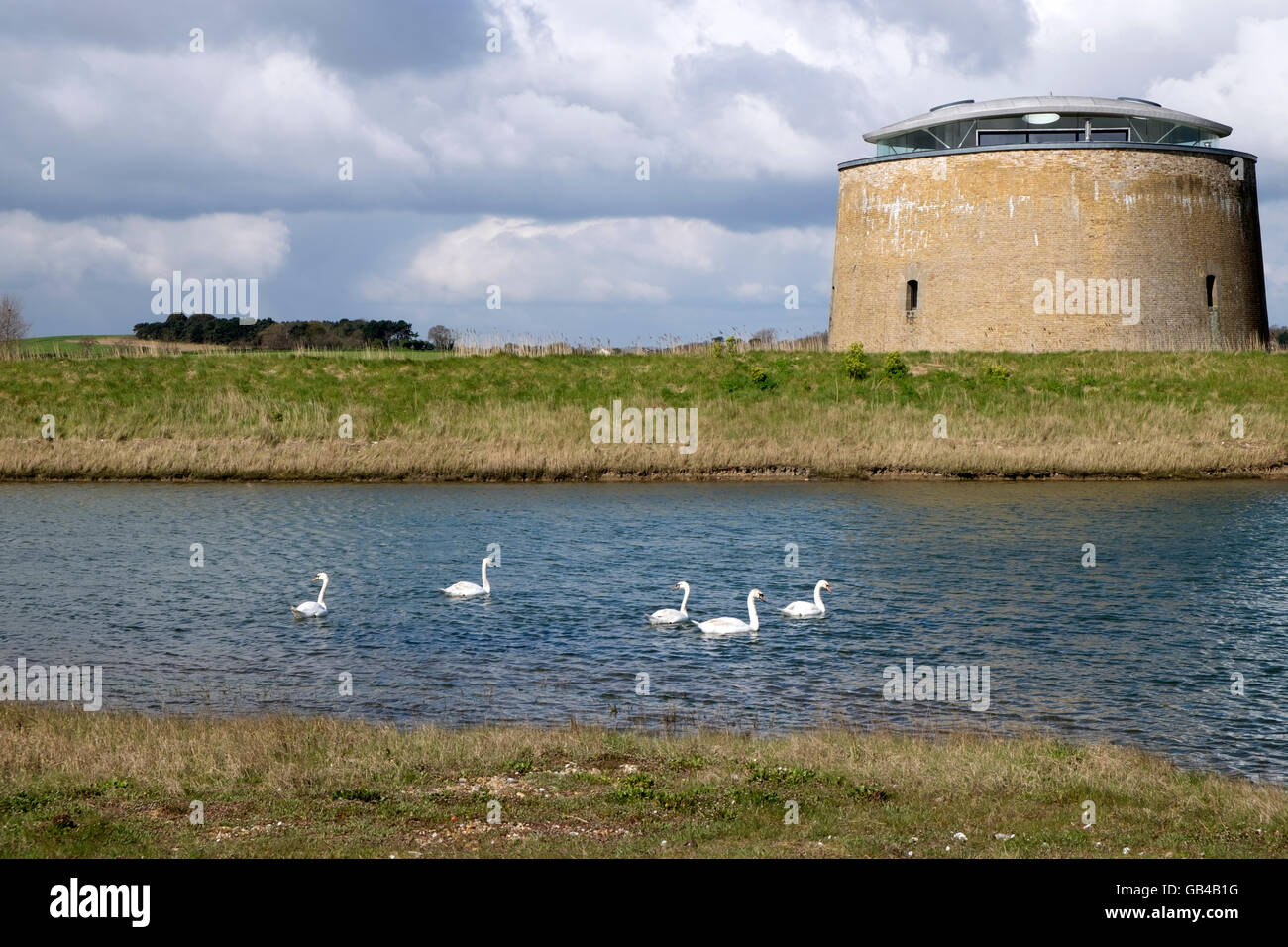 Martello Tower Y Bawdsey Suffolk REGNO UNITO Foto Stock