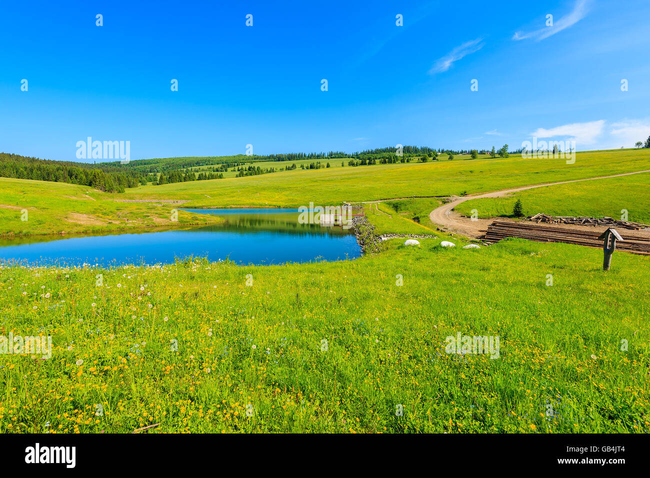 Una vista di prato verde bellissimo e il lago in estate il paesaggio dei Monti Tatra, Slovacchia Foto Stock