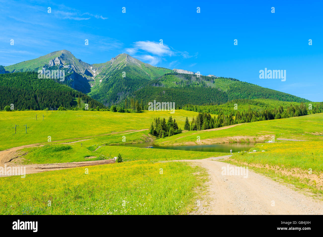 Strada in valle verde in estate il paesaggio dei Monti Tatra, Slovacchia Foto Stock