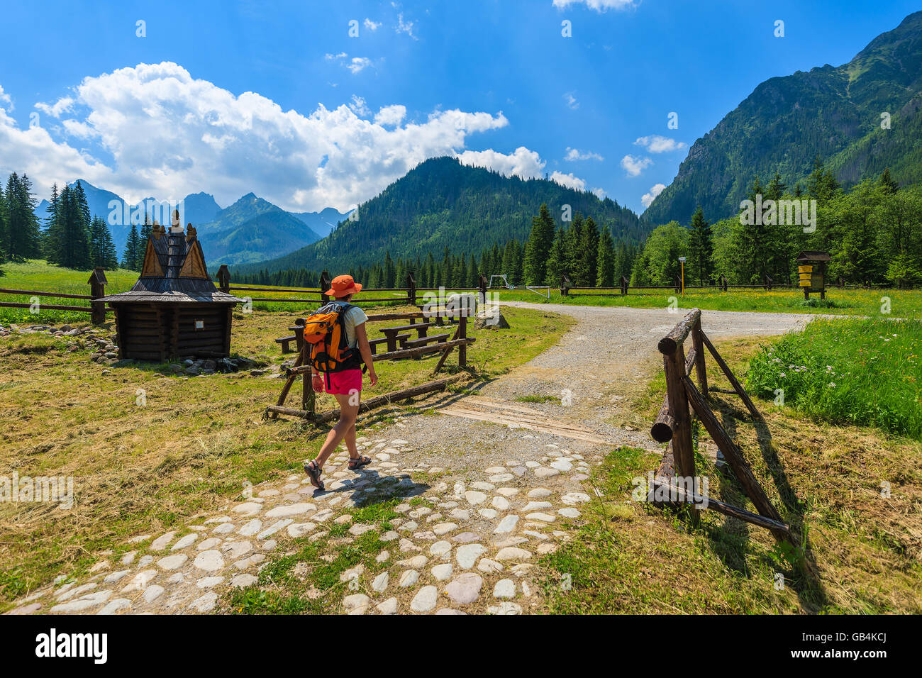 Giovane donna backpacker camminando sul sentiero escursionistico in Alti Tatra in estate, Slovacchia Foto Stock