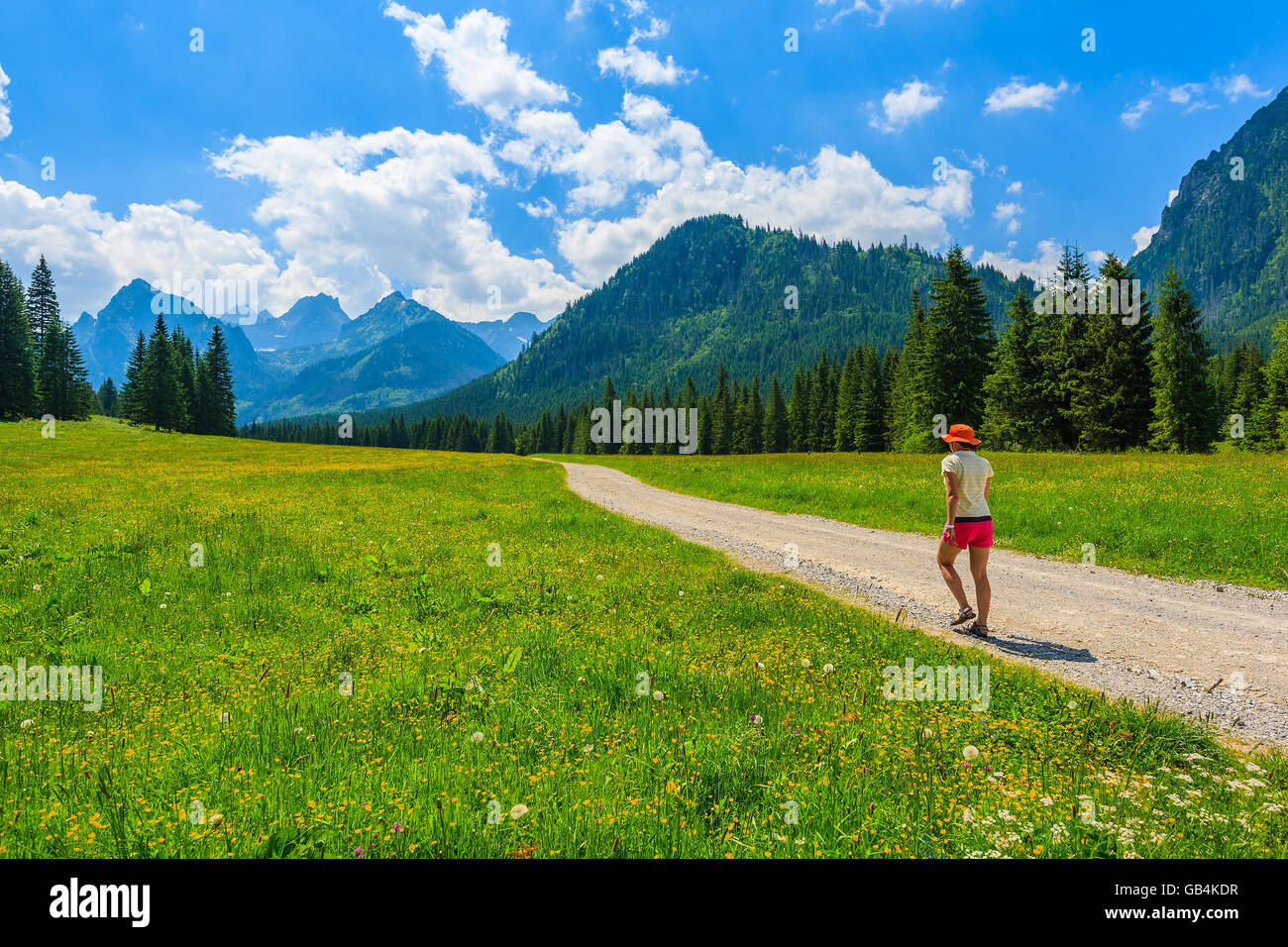 Verde paesaggio estivo e la giovane donna passeggiate turistiche sul sentiero escursionistico in Alti Tatra, Slovacchia Foto Stock