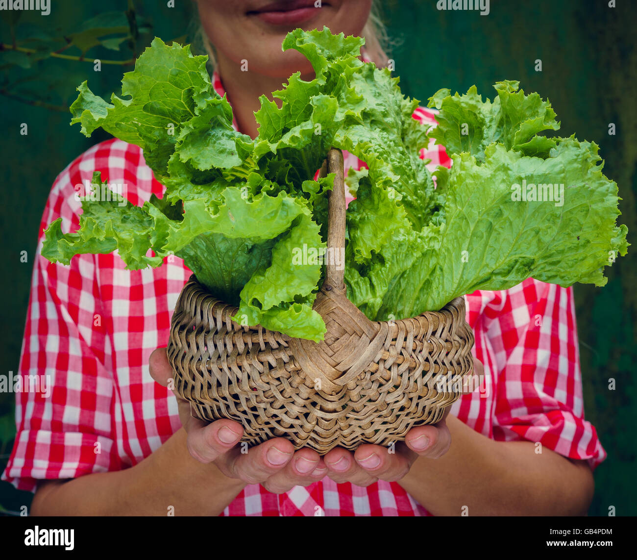 Girl su uno sfondo verde cestello di contenimento con lattuga. Stile rockabilly. Spazio per il testo Foto Stock