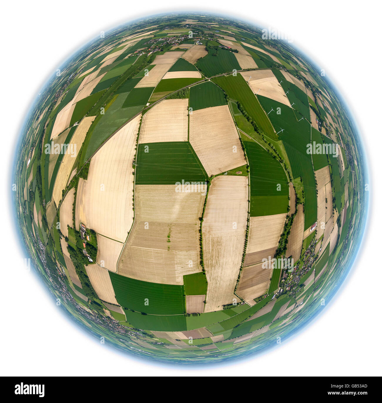 Vista aerea, campi agricoltura, fish-eye immagine, fisheye, piccoli campi, ereditarietà, Erwitte, Werl-Unnaer Borde, Foto Stock