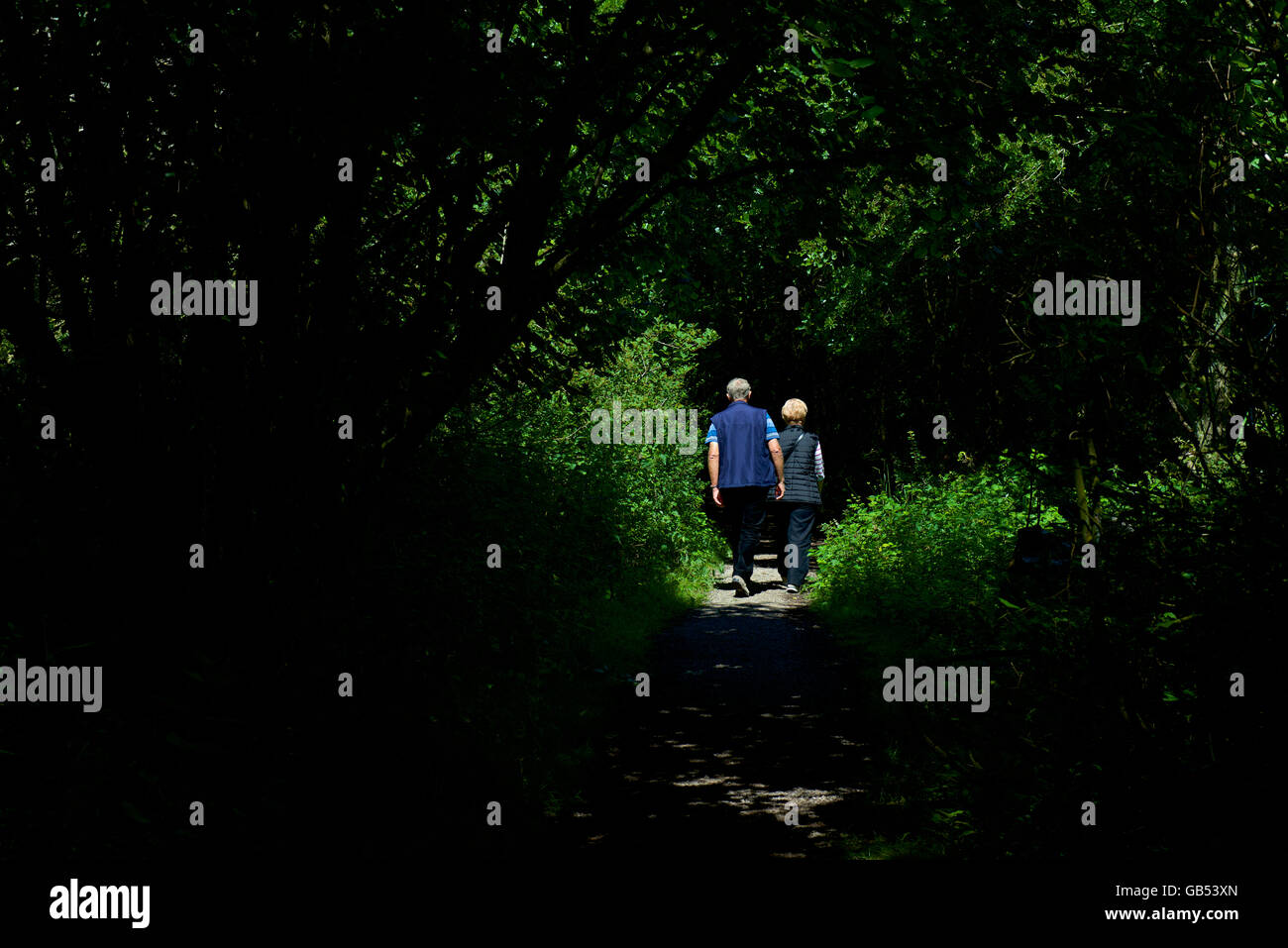 Gli amanti del birdwatching a Leighton Moss, un RSPB riserva naturale vicino a Carnforth, Lancashire, Inghilterra, Regno Unito Foto Stock