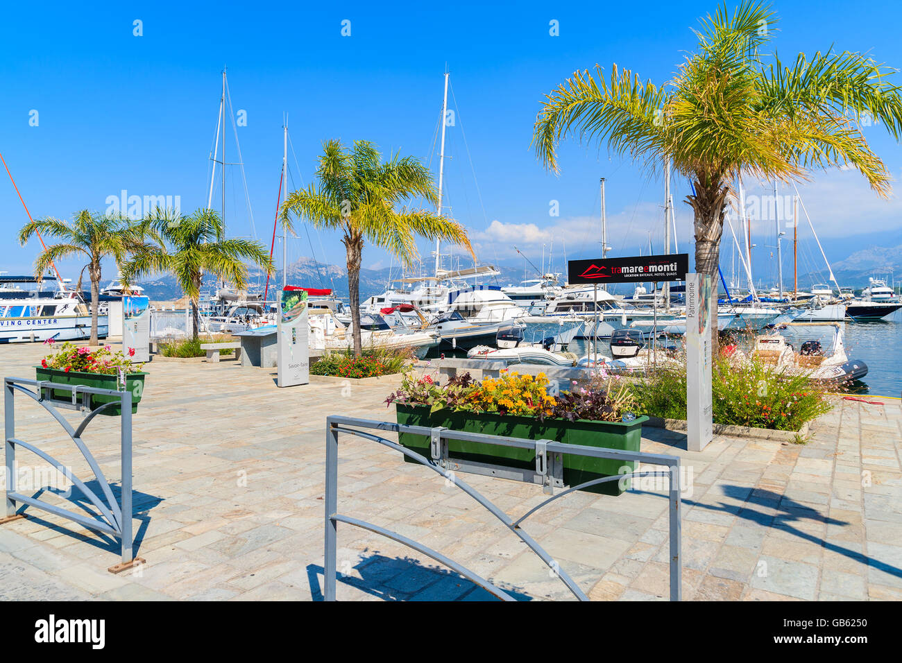 CALVI, Isola di Corsica - giu 28, 2015: palme sul lungomare di porto di Calvi. Questa città ha lussuosi marina ed è un molto laborato Foto Stock