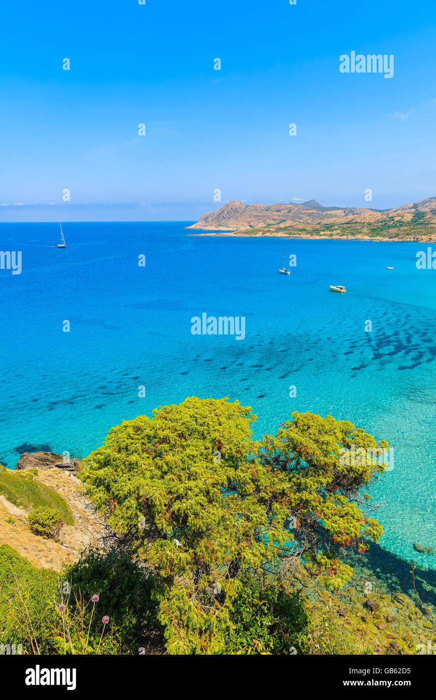 La vista della splendida baia mare Ostriconi, Corsica, Francia Foto Stock