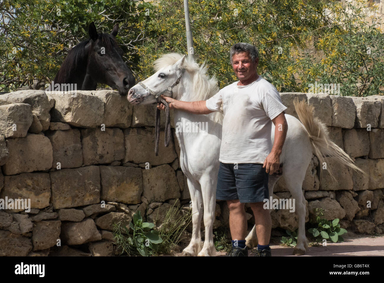 Contadino con pony bianco Gozo,Malta Foto Stock