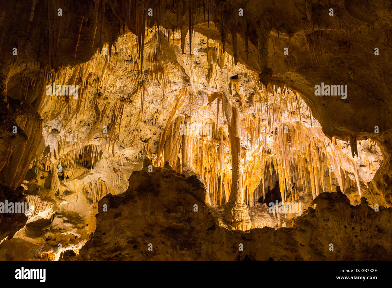 Parco nazionale di Carlsbad Cavern, Nuovo Messico Foto Stock