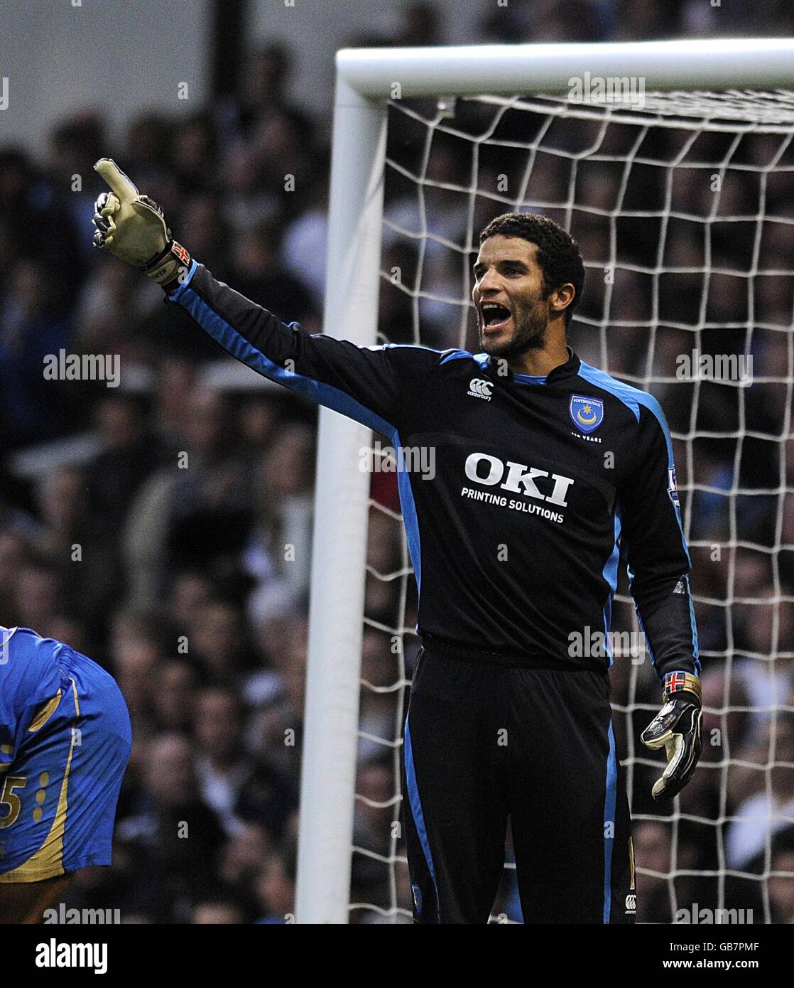 Calcio - Barclays Premier League - West Ham United v Portsmouth - Upton Park. David James, portiere di Portsmouth Foto Stock