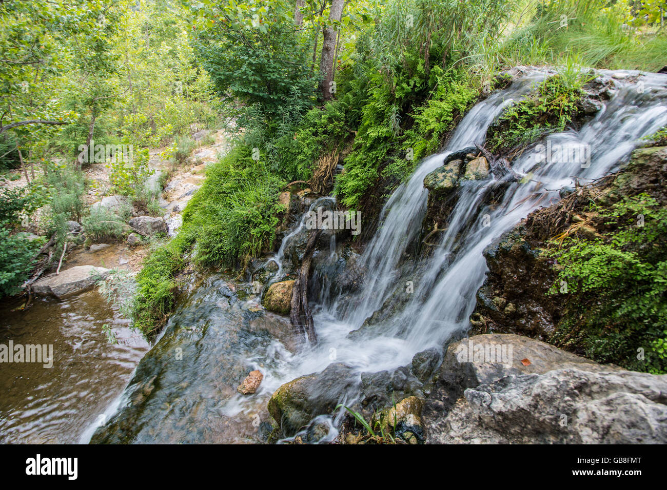 A cascata aceri perso stato Area Naturale- Vanderpool, Texas, Stati Uniti d'America Foto Stock