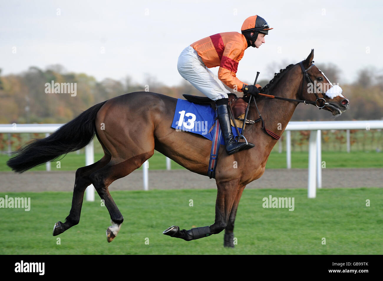 Il vincitore dello spettacolo guidato da jockey Darren o'Dwyer va a postare Per i biglietti Book Kempton su 0844 5793008 Novices 'hurdle Foto Stock