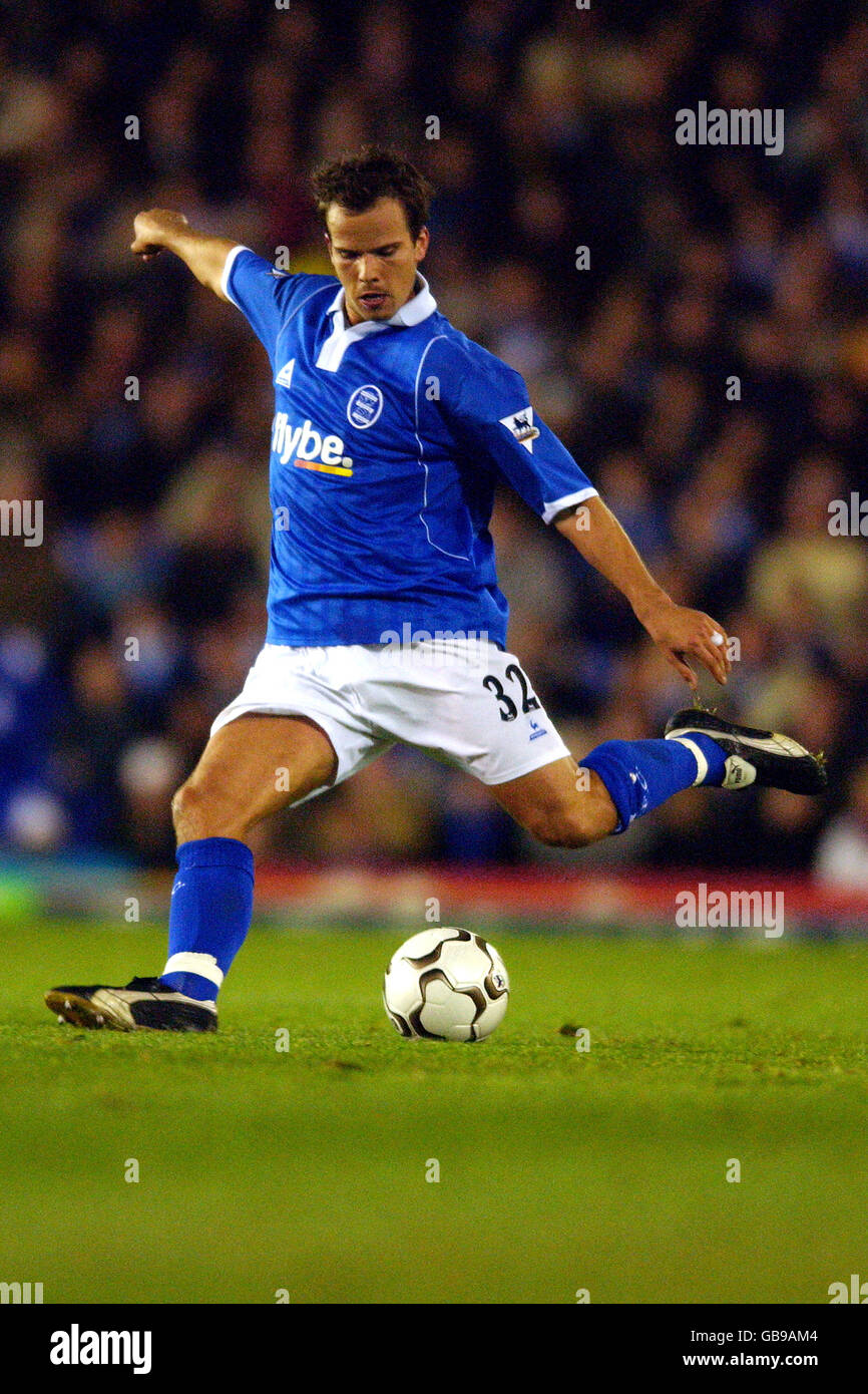 Calcio - fa Barclaycard Premiership - Birmingham City / Charlton Athletic. Stephen Clemence, Birmingham City Foto Stock