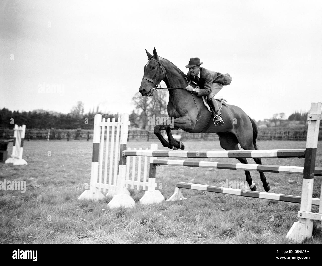 Equestre - prove a cavallo europee. Il maggiore Frank Weldon su Kilbarry Foto Stock