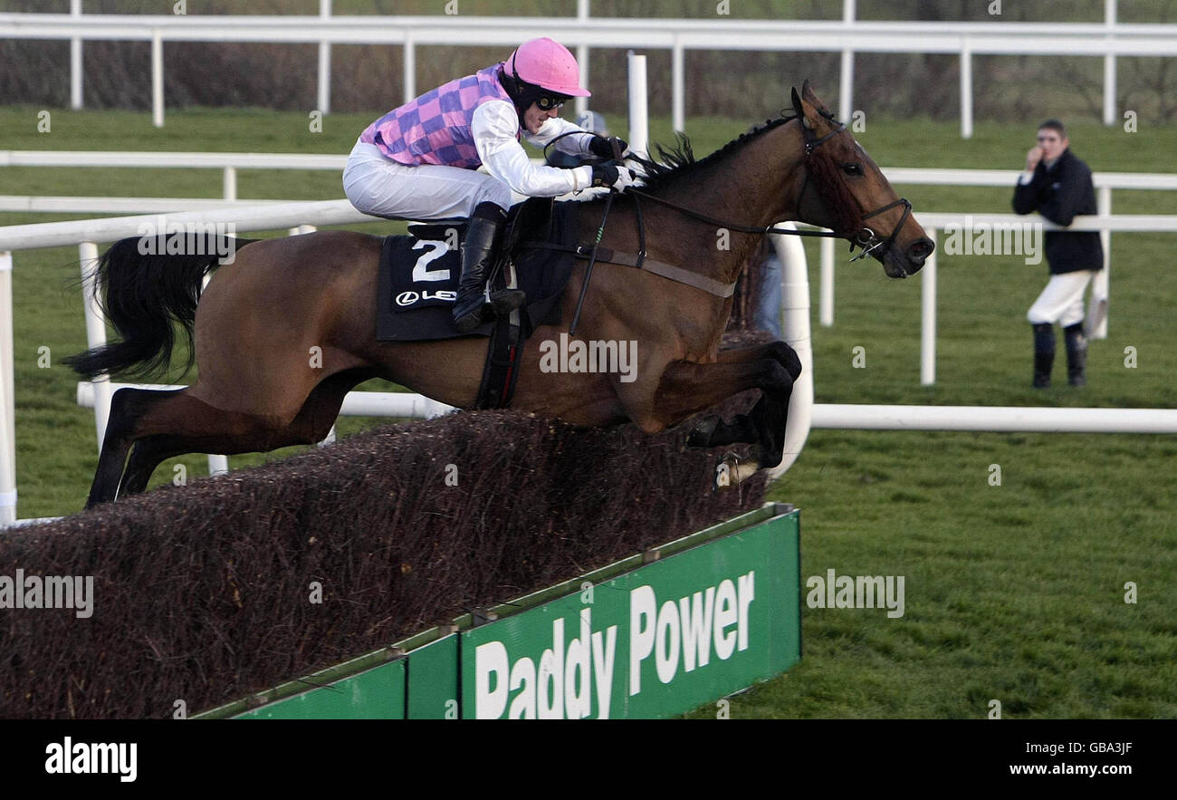 Horse Racing - Lexus Chase giorno - Leopardstown Racecourse Foto Stock