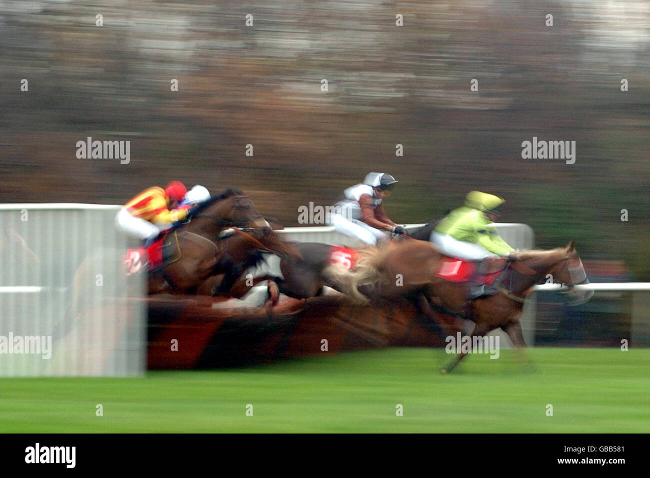 Jamie Moore su Earlsfield Raider guida nel Marian Peett Corsa degli ostacoli dei novizi giovanili Foto Stock