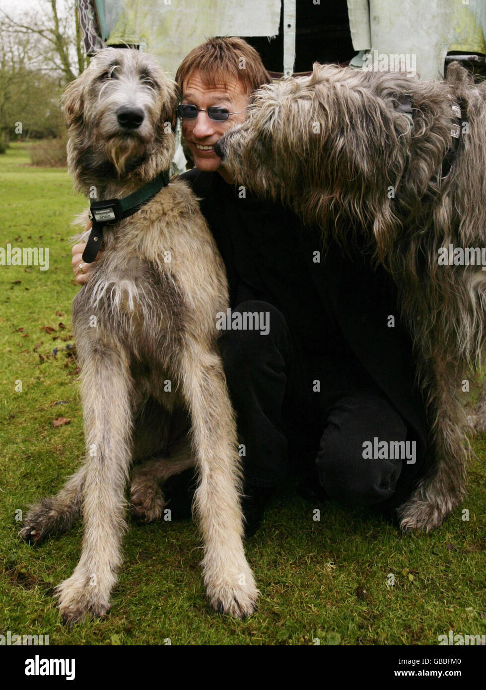 Robin Gibb CBE, la star di Bee Gee, si pone con i suoi cani a casa sua in aiuto della Outward Bound Trust di Oxford. Foto Stock