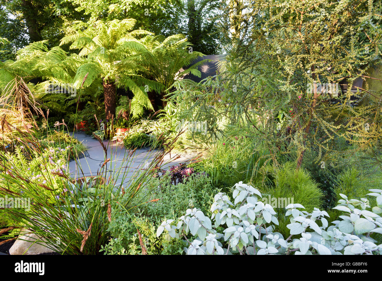 La Malattia intestinale UK giardino ideato da Andrew Fisher Tomlin e Dan Bowyer a annuale di Hampton Court Flower Show, Inghilterra Foto Stock
