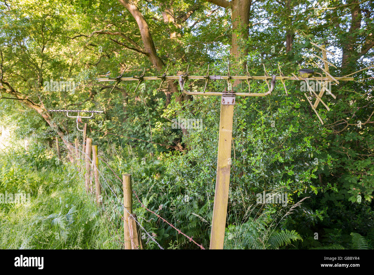 Antenne TV sul bordo di un legno in Shropshire campagna, Inghilterra, Regno Unito. Foto Stock